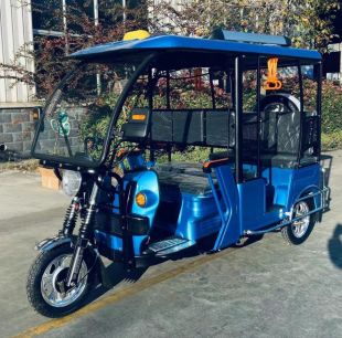 Трицикл пассажирский GreenCamel Пони Рикша (48V 1000W 30 км/ч) крыша, дифф