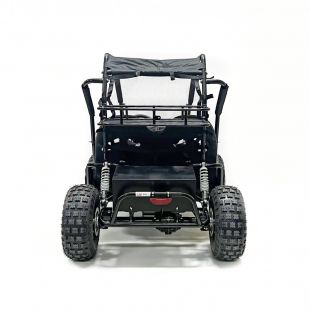 Багги GreenCamel Намиб T10 (60V 2000W R8 Дифф)